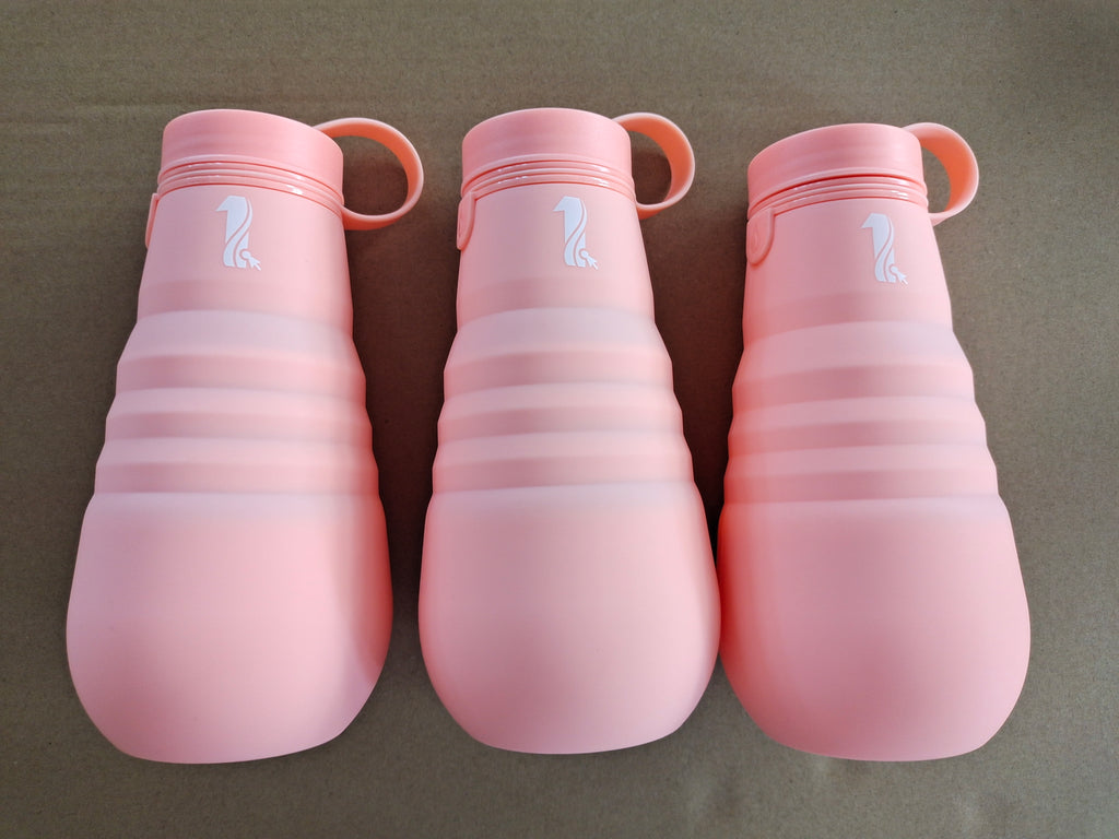 Silicone collapsable water bottle